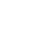 bullet